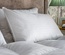 Laura Ashley Duck and Down Pillow