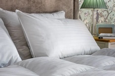 Laura Ashley Duck and Down Pillow