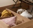 Birlea Croxley Rattan Ottoman Bed Frame