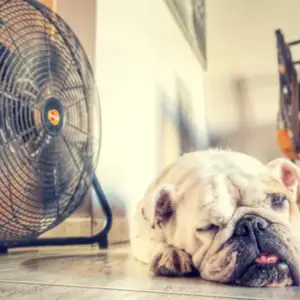 How to Sleep Better in Summer: Stay Cool All Night