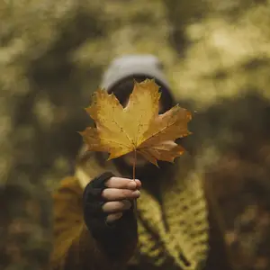 Cosy Up for Autumn: Beds, Mattresses & Bedroom Ideas