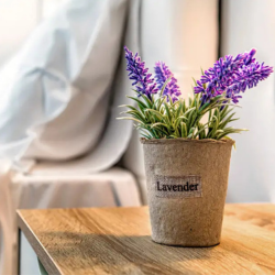 Lavender plant on a bedside table