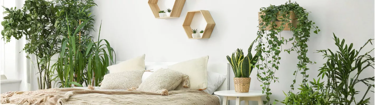 Comfortable bedroom with plants and natural decor