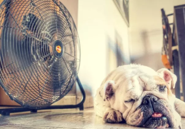 How to sleep better in summer and stay cool at night